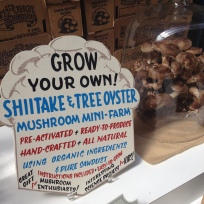 Random shop in the Ferry Building where you can grow your own mushrooms!